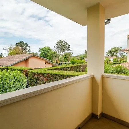 Faggio 14a * 이솔라 알바렐라